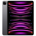 iPad Pro M2 (6th Gen) Wifi 256GB 12.9” (Space Grey) (MNXR3PP/A)